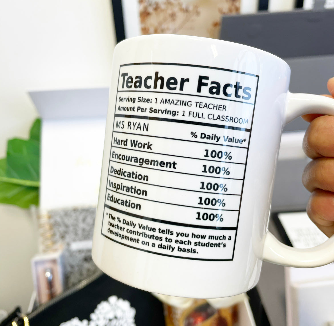 Teacher Facts Mug